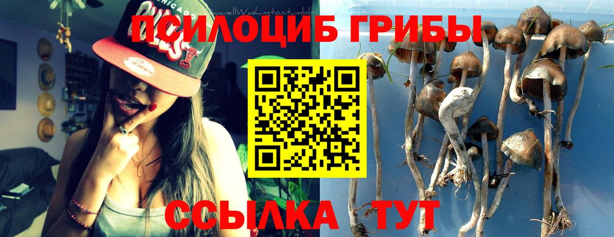 Псилоцибиновые грибы Magic Shrooms Ульяновск